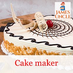 Cake maker Mrs. Payel Roy Bhattacharya in Barrackpore